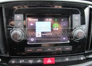 Fiat DOBLO CARGO 1.3 MJT 95 CH CH1 LOUNGE AVEC CLIM